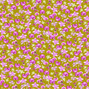 Margo - Mustard Orchids