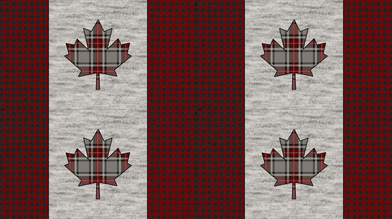 My Canada - Panel