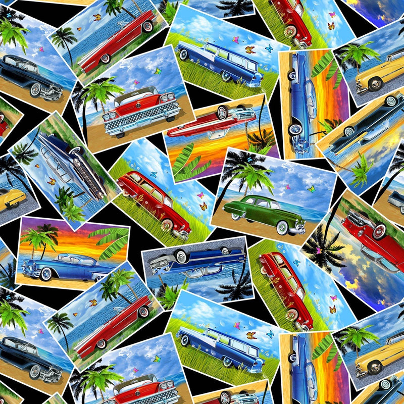 Cars - Vacation Pictures Multi